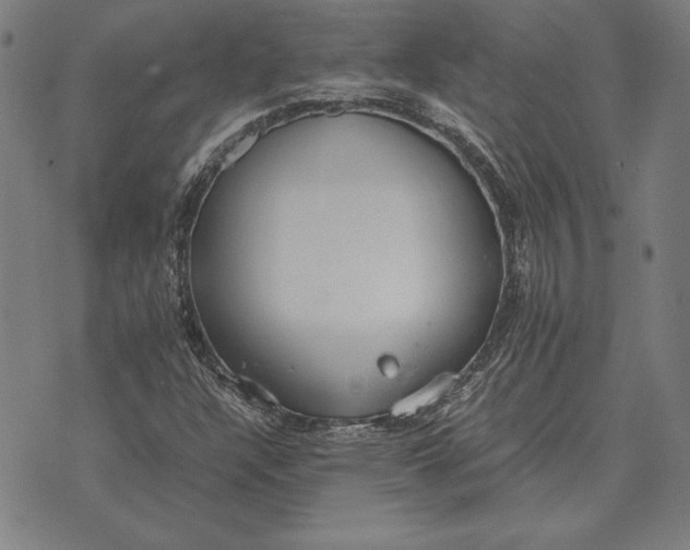 X0000071831304200607211751