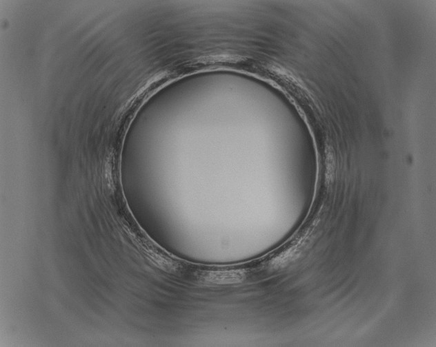 X0000071831305200607211751