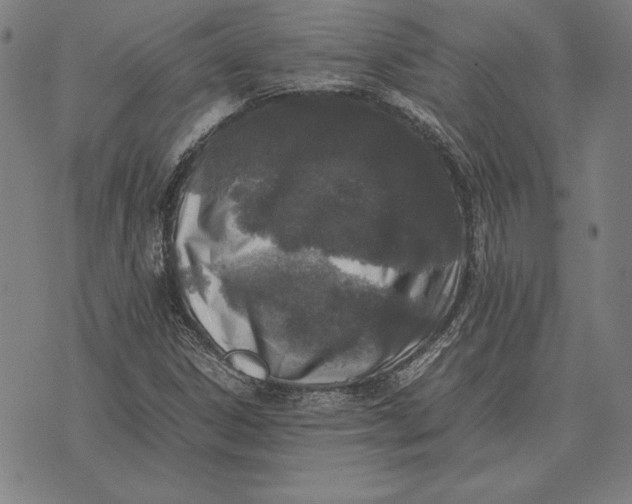 X0000071831306200607211752