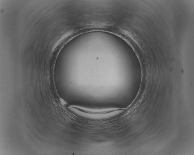 X0000071831307200607211752