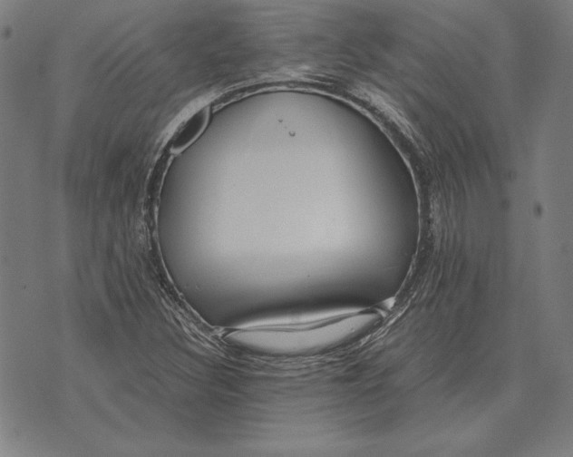 X0000071831308200607211752