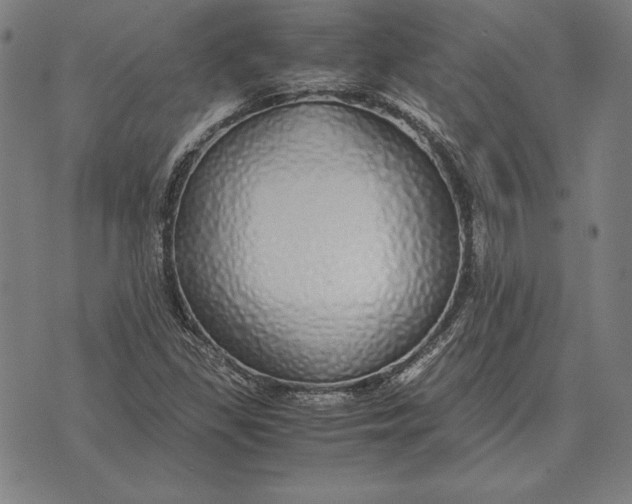 X0000071831309200607211752