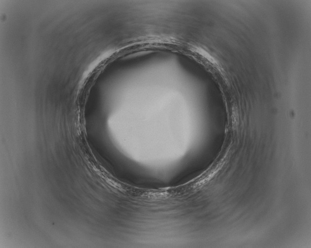 X0000071831310200607211752