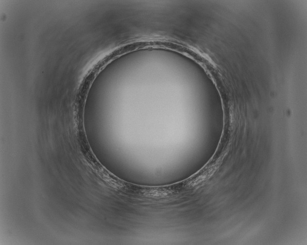 X0000071831311200607211752