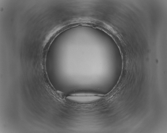 X0000071831312200607211752