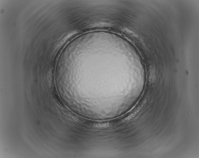 X0000071831313200607211752