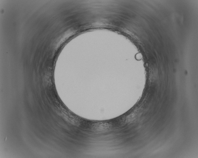 X0000071831314200607211752