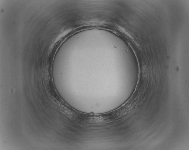 X0000071831315200607211752