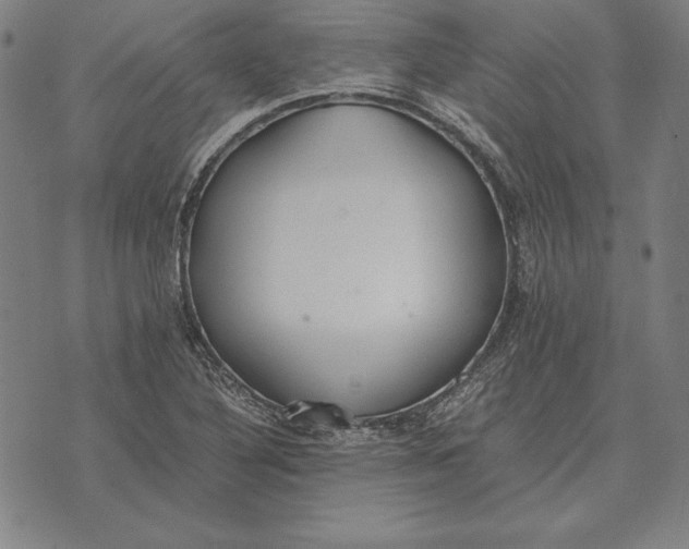 X0000071831316200607211752