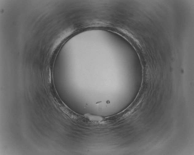 X0000071831317200607211752