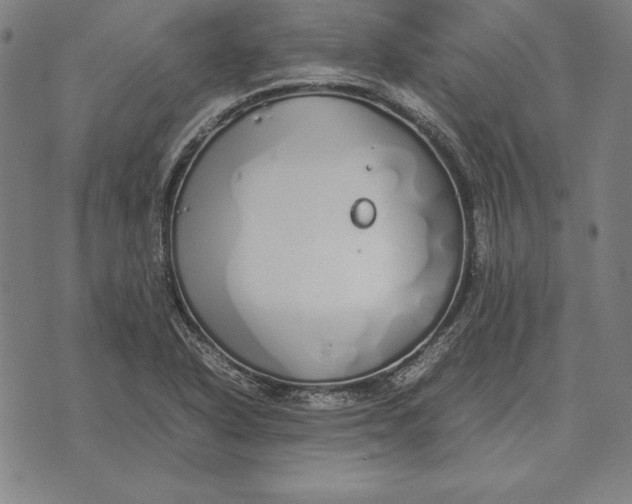 X0000071831318200607211752