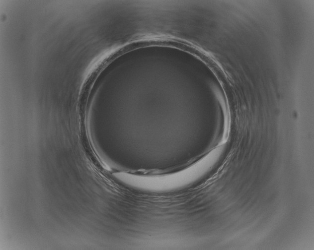 X0000071831319200607211752