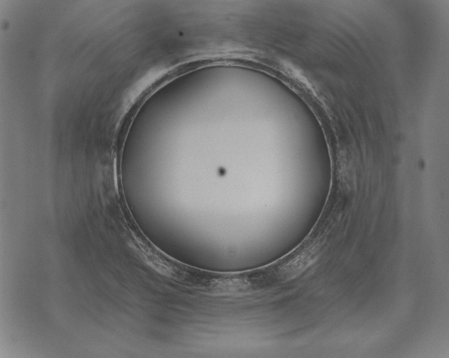 X0000071831320200607211752