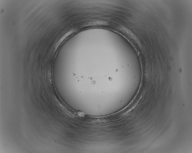 X0000071831321200607211752