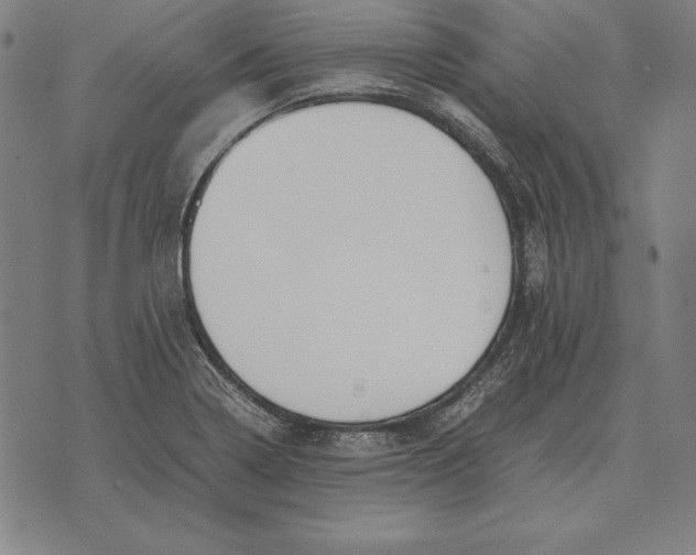 X0000071831322200607211752