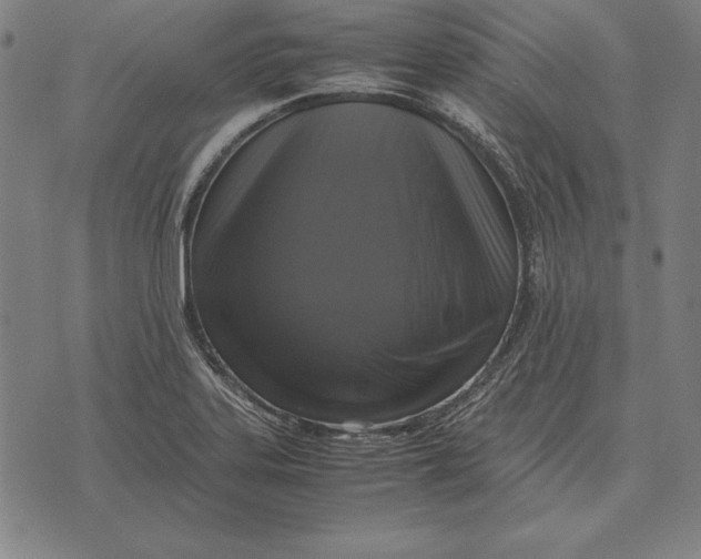 X0000071831323200607211752