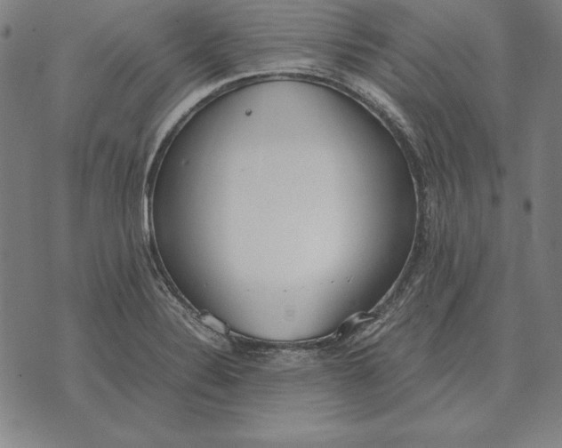 X0000071831324200607211752