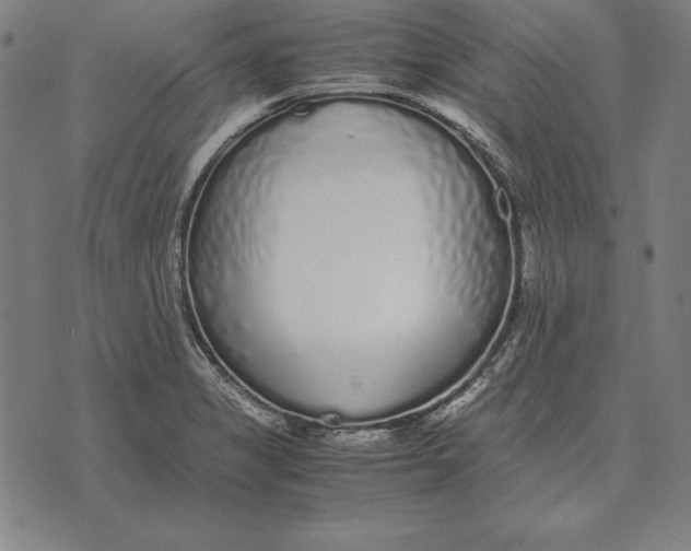 X0000071831325200607211752