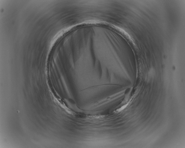 X0000071831327200607211752