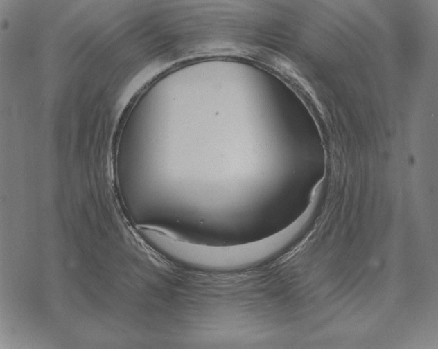 X0000071831328200607211752