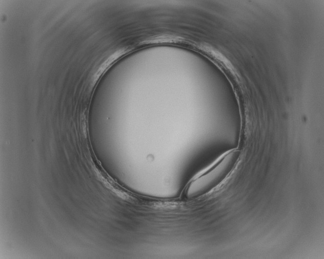 X0000071831329200607211752