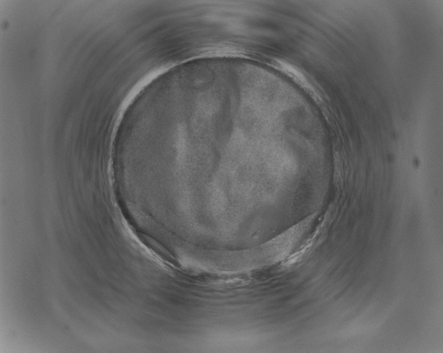 X0000071831331200607211752