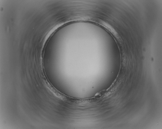 X0000071831332200607211752