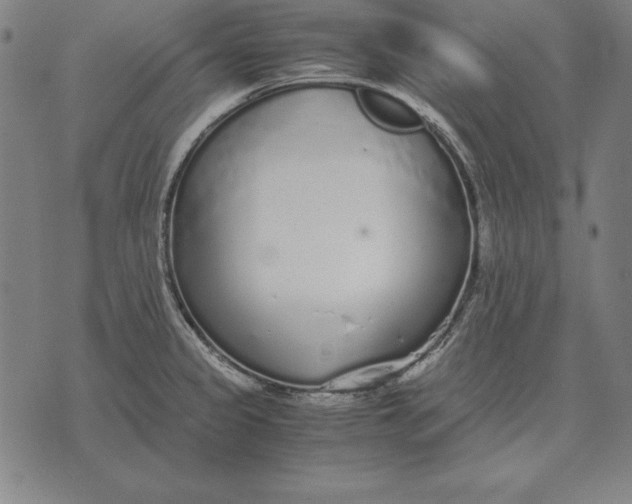 X0000071831333200607211752