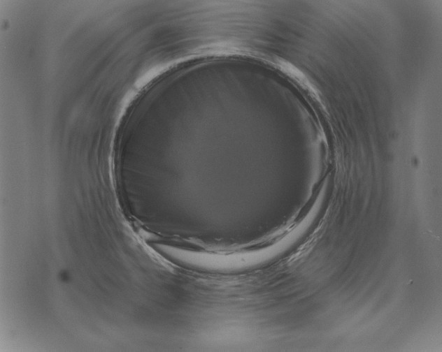 X0000071831334200607211752