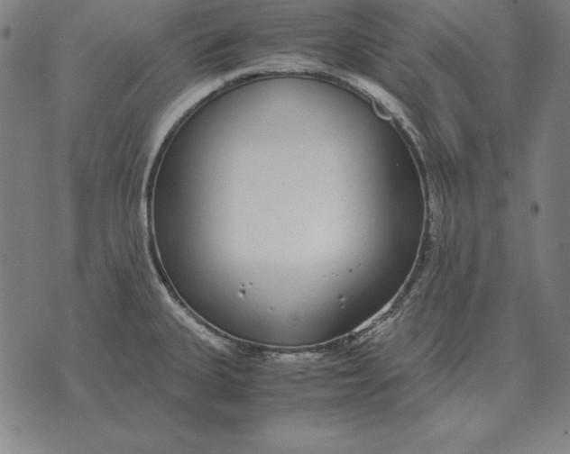 X0000071831335200607211752