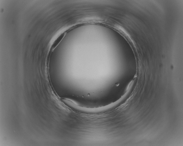 X0000071831336200607211752