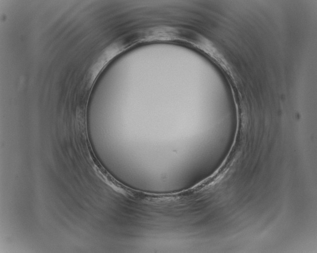 X0000071831337200607211752