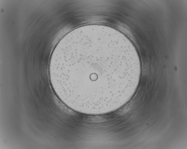 X0000071831338200607211752