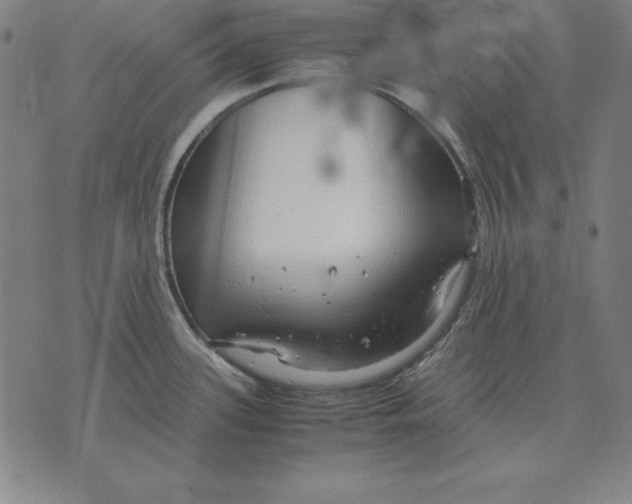 X0000071831339200607211752