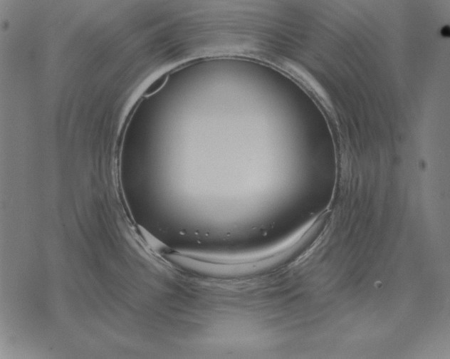 X0000071831340200607211752