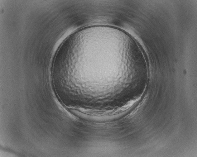 X0000071831341200607211752