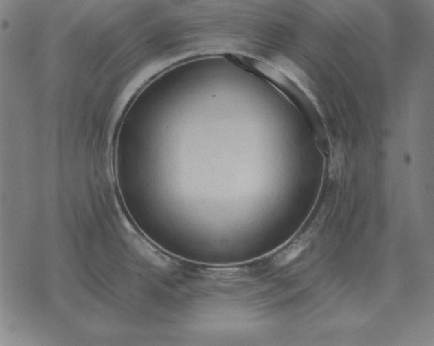 X0000071831342200607211752