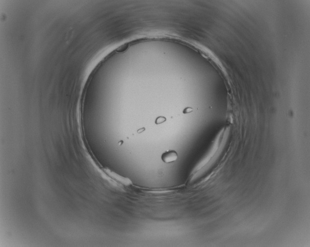 X0000071831343200607211752