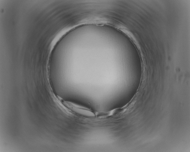 X0000071831344200607211752