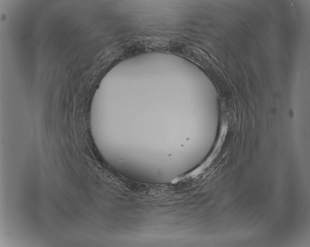 X0000071831345200607211751