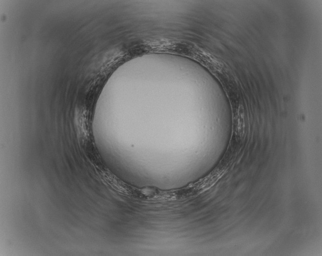 X0000071831346200607211751