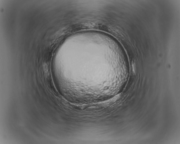 X0000071831347200607211751