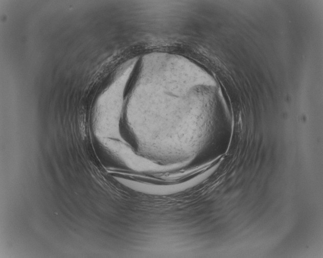 X0000071831348200607211751