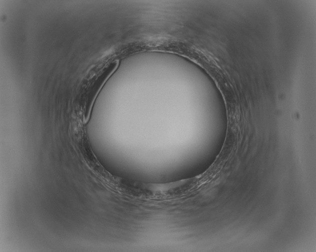 X0000071831349200607211751