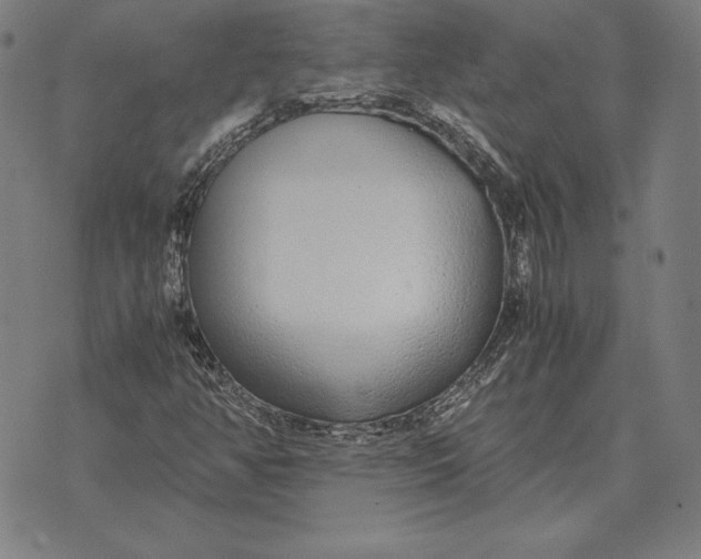 X0000071831350200607211751