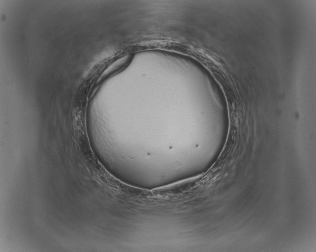 X0000071831351200607211751