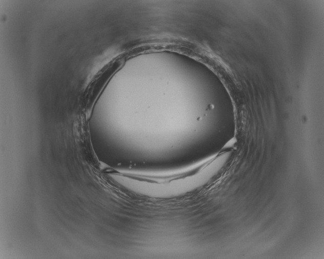 X0000071831352200607211751