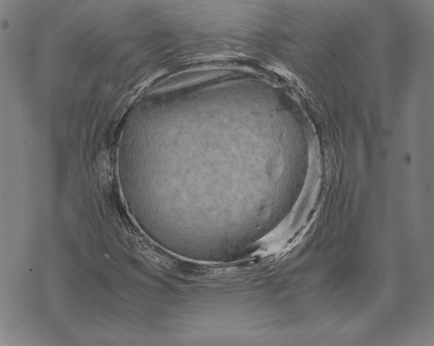 X0000071831353200607211751