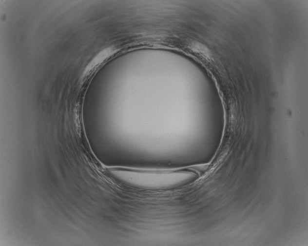 X0000071831354200607211751