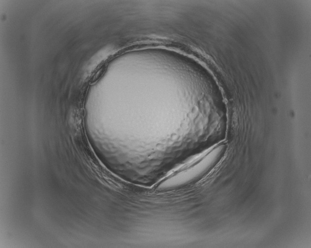 X0000071831355200607211751